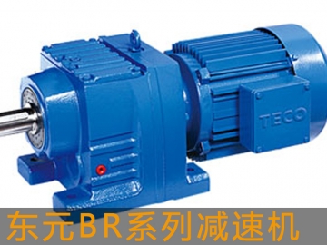 東元BR系列斜齒輪減速機