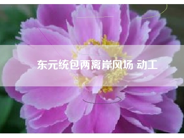 東元統(tǒng)包兩離岸風(fēng)場(chǎng) 動(dòng)工