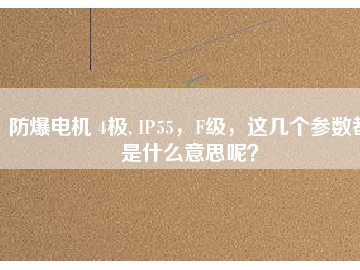 防爆電機(jī) 4極, IP55，F(xiàn)級(jí)，這幾個(gè)參數(shù)都是什么意思呢？