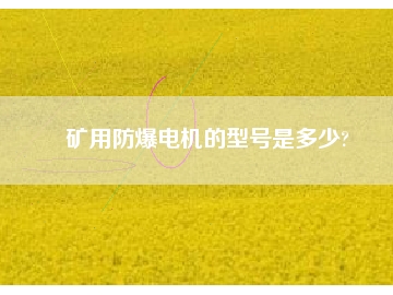 礦用防爆電機的型號是多少?