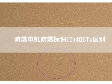 防爆電機防爆標識CT4和BT4區(qū)別