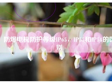 防爆電機(jī)防護(hù)等級IP65，IP55和IP54的區(qū)別