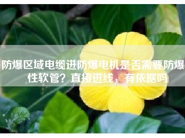 防爆區(qū)域電纜進(jìn)防爆電機(jī)是否需要防爆撓性軟管？直接進(jìn)線，有依據(jù)嗎