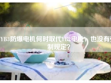 YB3防爆電機(jī)何時取代YB2電機(jī)，也沒有強制規(guī)定？