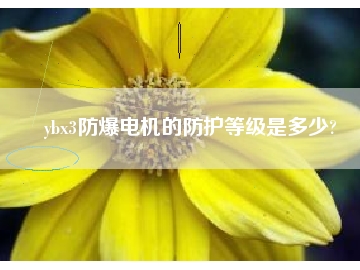 ybx3防爆電機(jī)的防護(hù)等級是多少?