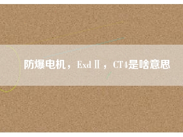 防爆電機(jī)，ExdⅡ，CT4是啥意思