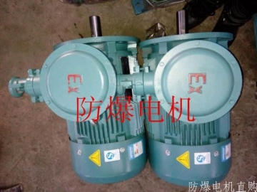 防爆電機(jī)分類：防爆電機(jī)選型、參數(shù)、定義