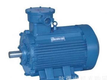 防爆電機(jī)的密封結(jié)構(gòu)在安裝使用中要注意哪些？