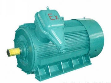 防爆電機(jī)如何出現(xiàn)掃膛、振動(dòng)、軸承過熱要怎么處理