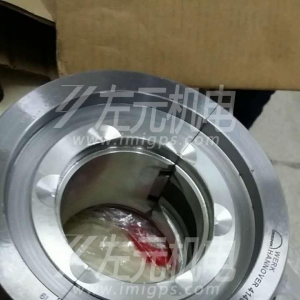 EFZLB 11-110,EFZLB 9-80電機軸瓦，油封及油環(huán)應(yīng)用于化工行業(yè)電機