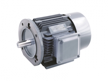 YD 變極多速三相異步電動(dòng)機(jī)