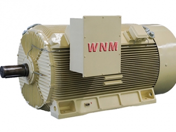 Y2系列高壓三相異步電動機(jī)