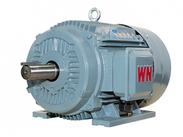 TYCP2系列三相變頻驅(qū)動永磁同步電動機(jī)