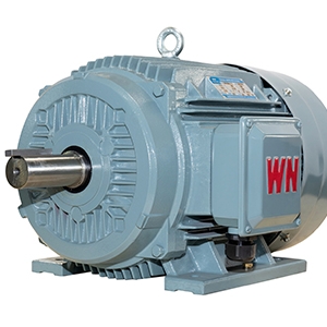 TYCP系列三相變頻驅(qū)動永磁同步電動機