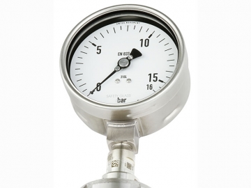 DSS19F符合EN837-1標準的壓力表，帶隔膜密封