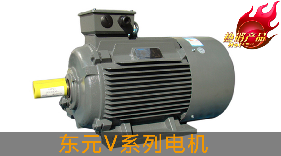 東元V系列電機(jī).jpg