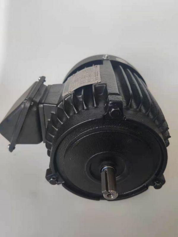 永磁電機(jī) DVEX  55KW  1500RPM  F#200L IE4效率電機(jī)