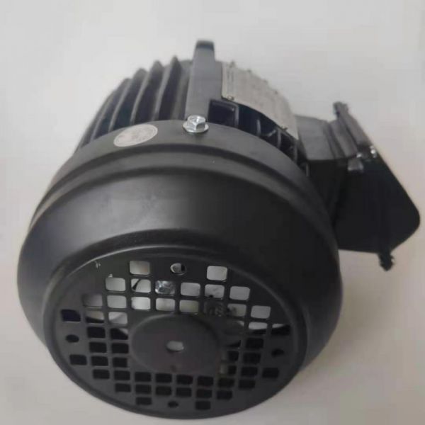 永磁電機(jī) DVEX  55KW  1500RPM  F#200L IE4效率電機(jī)