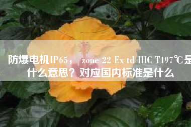 防爆電機(jī)IP65， zone 22 Ex td IIIC T197℃是什么意思？對(duì)應(yīng)國(guó)內(nèi)標(biāo)準(zhǔn)是什么