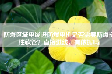 防爆區(qū)域電纜進(jìn)防爆電機(jī)是否需要防爆撓性軟管？直接進(jìn)線，有依據(jù)嗎