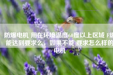防爆電機(jī) 用在環(huán)境溫度60度以上區(qū)域 F級(jí)能達(dá)到要求么，如果不能 要求怎么樣的電機(jī)