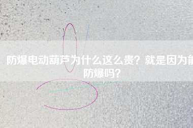 防爆電動(dòng)葫蘆為什么這么貴？就是因?yàn)槟芊辣瑔幔? title=