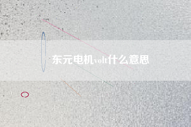 東元電機(jī)volt什么意思