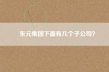 東元集團下面有幾個子公司？