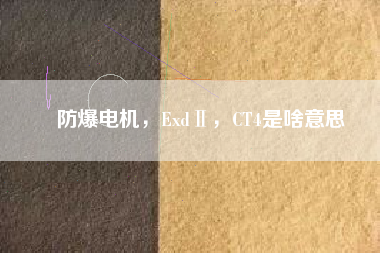 防爆電機(jī)，ExdⅡ，CT4是啥意思