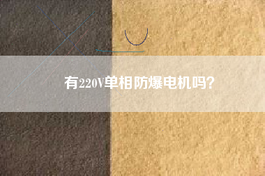 有220V單相防爆電機(jī)嗎？