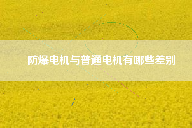 防爆電機(jī)與普通電機(jī)有哪些差別