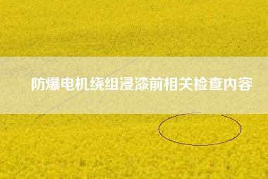 防爆電機繞組浸漆前相關檢查內(nèi)容